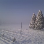 Winterimpressionen 2012: Erst war es noch nebelig und bedeckt ...