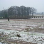 Winterimpressionen (aufgenommen im Dezember 2011)