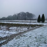 Winterimpressionen (aufgenommen im Dezember 2011)